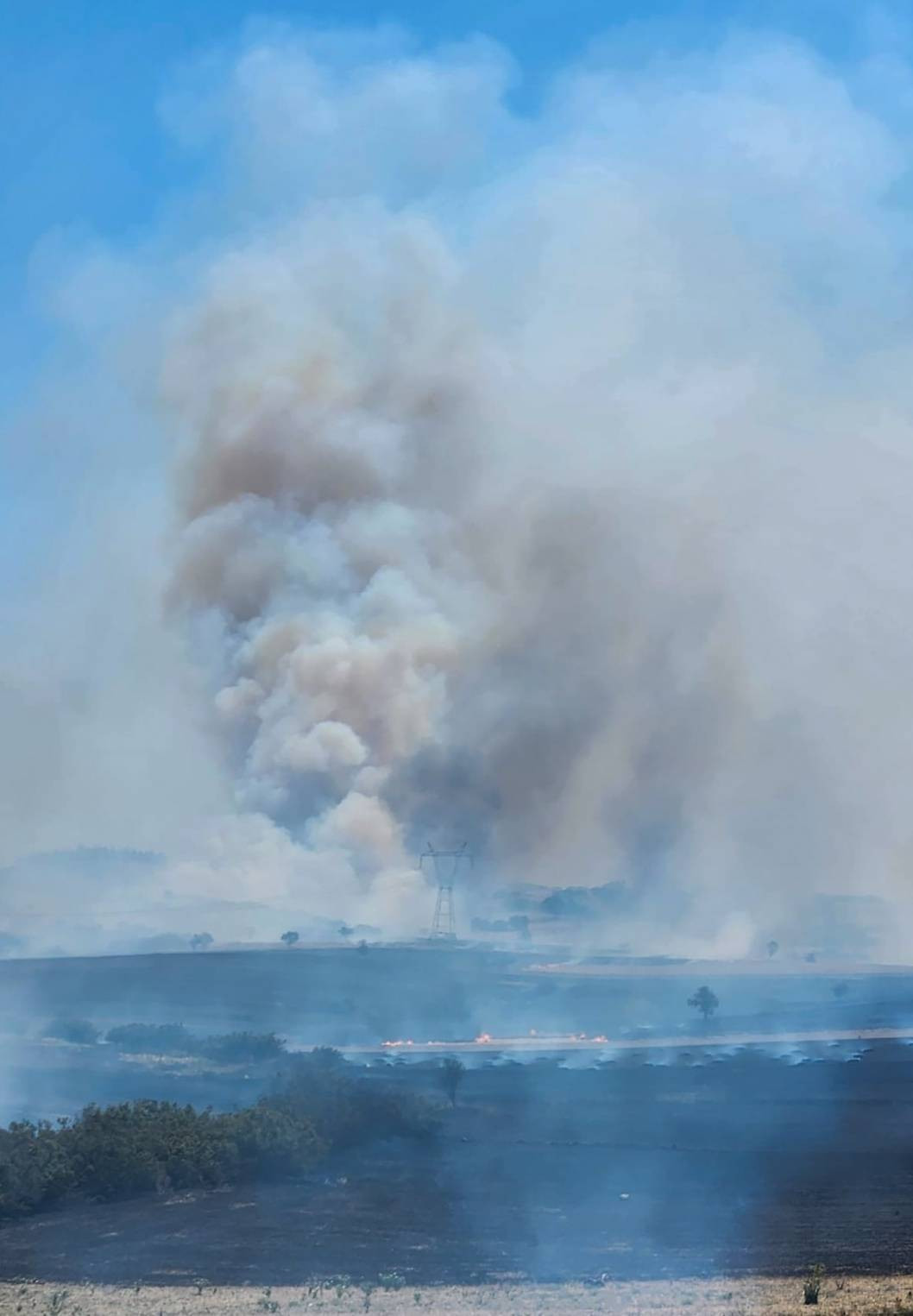 Balıkesir'deki orman yangını kontrol altına alındı - Resim: 15